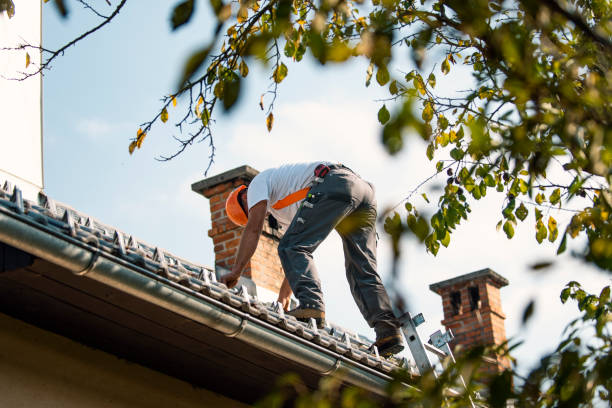 Best Metal Roofing Contractor  in Easton, PA