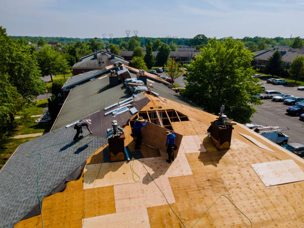 Quick and Trustworthy Emergency Roof Repair Services in Easton, PA