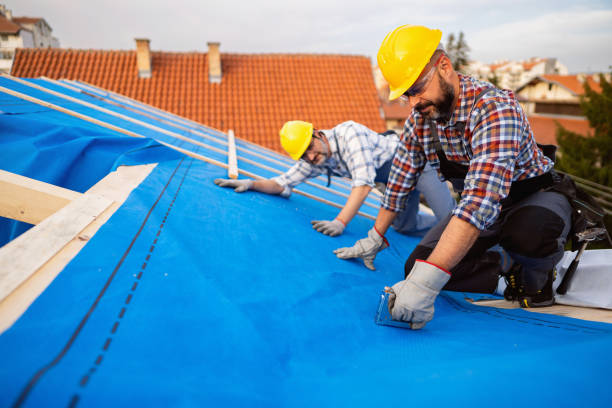 Best Storm Damage Roof Repair  in Easton, PA