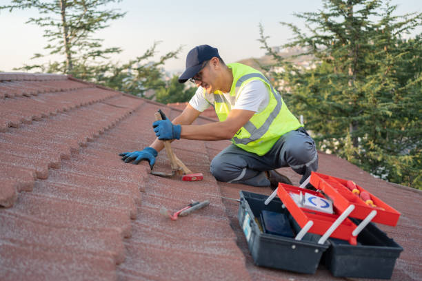 Best Roof Leak Repair  in Easton, PA