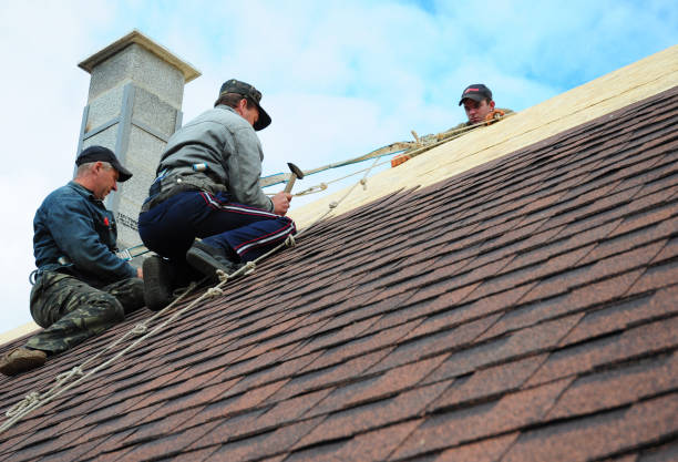 Best Flat Roof Repair Services  in Easton, PA